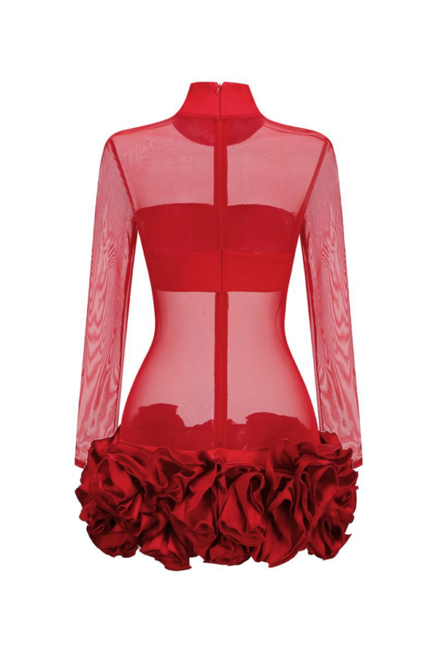 Fionna Floral Mesh Long Sleeve Mini Dress