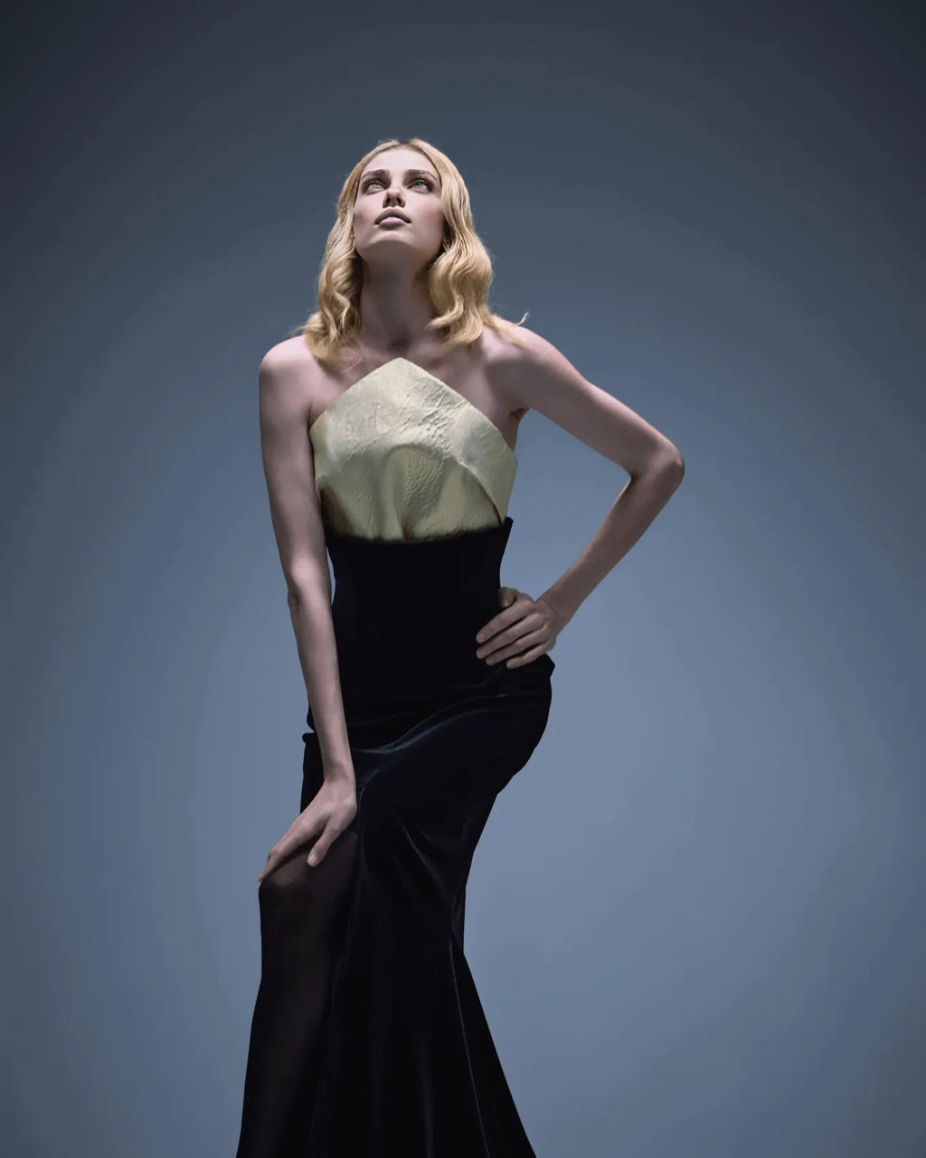 Strapless Mermaid Maxi Velvet Dress Black Ivory